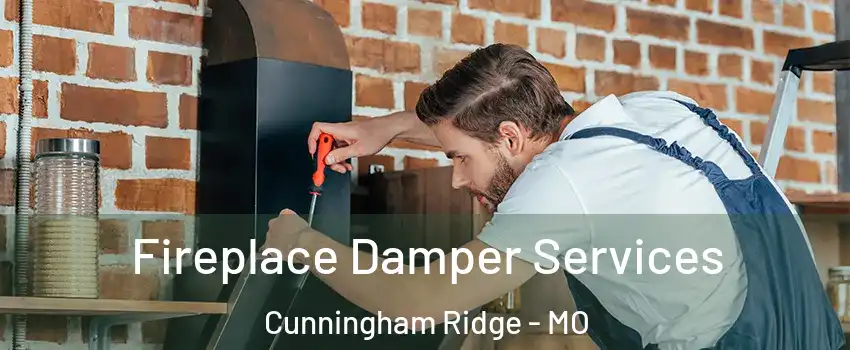 Fireplace Damper Services Cunningham Ridge - MO