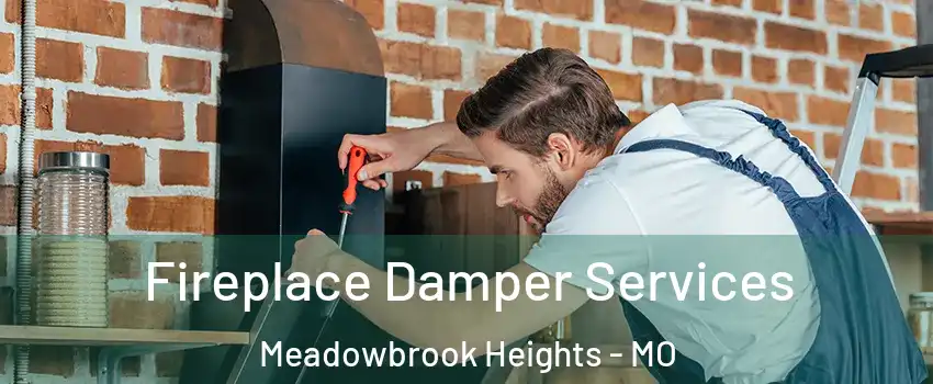 Fireplace Damper Services Meadowbrook Heights - MO