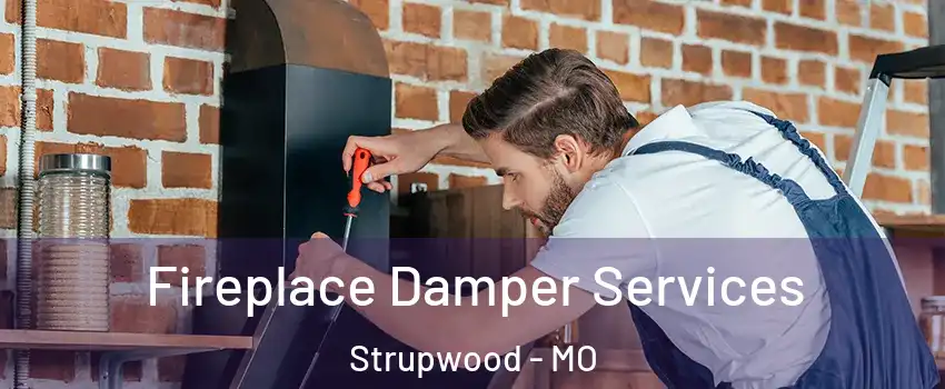 Fireplace Damper Services Strupwood - MO