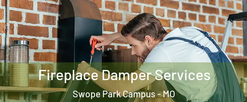 Fireplace Damper Services Swope Park Campus - MO