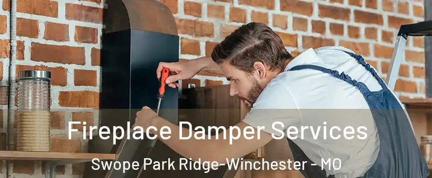 Fireplace Damper Services Swope Park Ridge-Winchester - MO