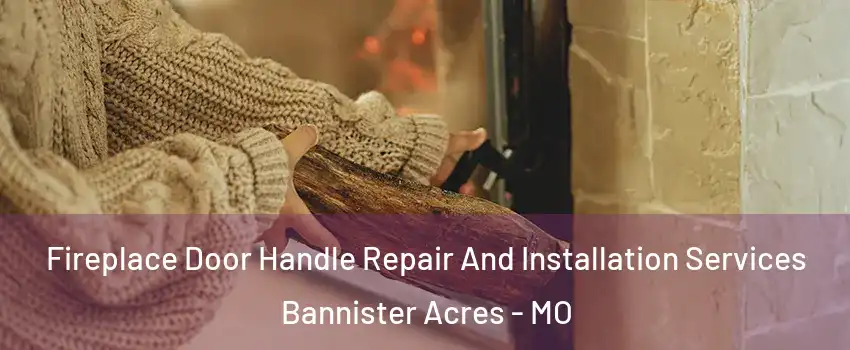 Fireplace Door Handle Repair And Installation Services Bannister Acres - MO