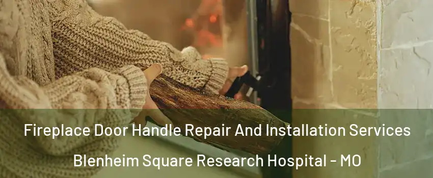 Fireplace Door Handle Repair And Installation Services Blenheim Square Research Hospital - MO