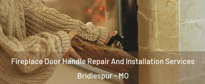 Fireplace Door Handle Repair And Installation Services Bridlespur - MO