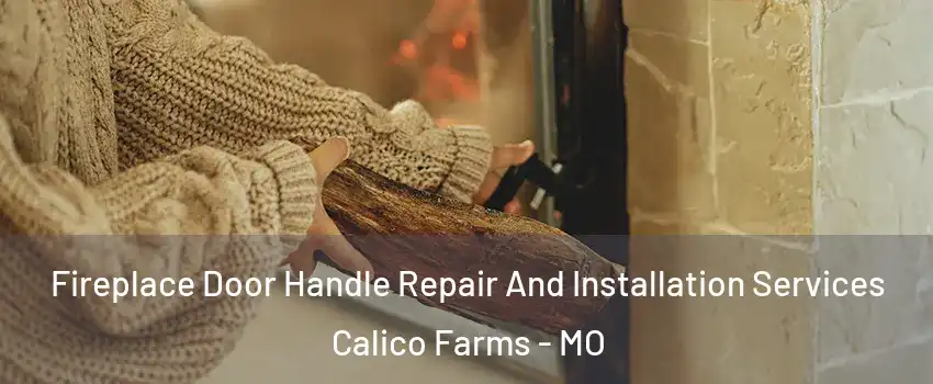 Fireplace Door Handle Repair And Installation Services Calico Farms - MO