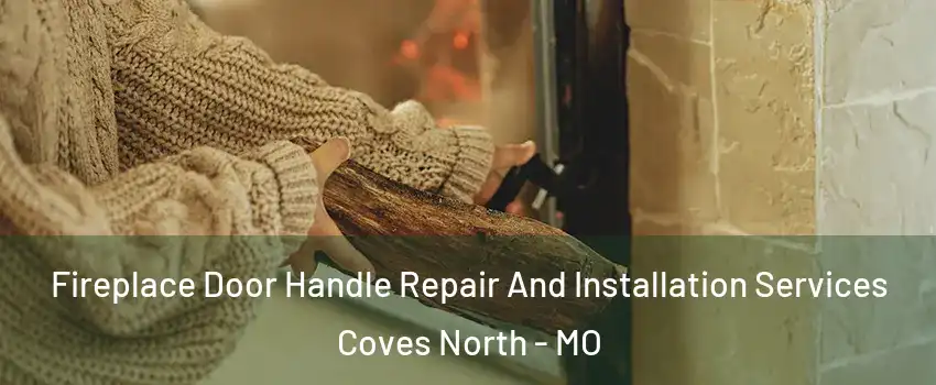 Fireplace Door Handle Repair And Installation Services Coves North - MO