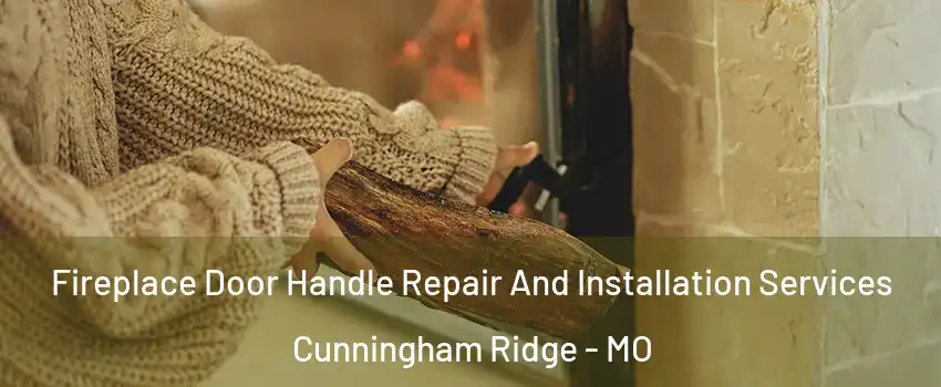 Fireplace Door Handle Repair And Installation Services Cunningham Ridge - MO