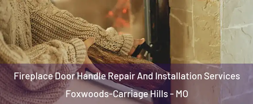 Fireplace Door Handle Repair And Installation Services Foxwoods-Carriage Hills - MO