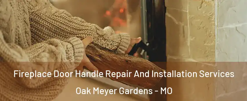 Fireplace Door Handle Repair And Installation Services Oak Meyer Gardens - MO