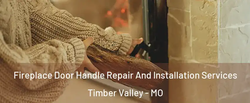 Fireplace Door Handle Repair And Installation Services Timber Valley - MO