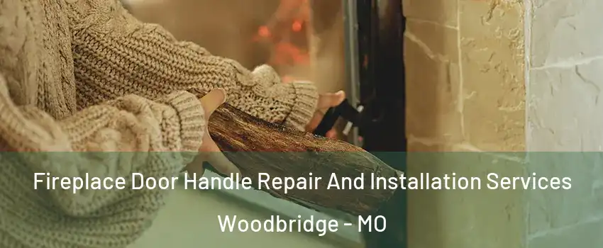 Fireplace Door Handle Repair And Installation Services Woodbridge - MO