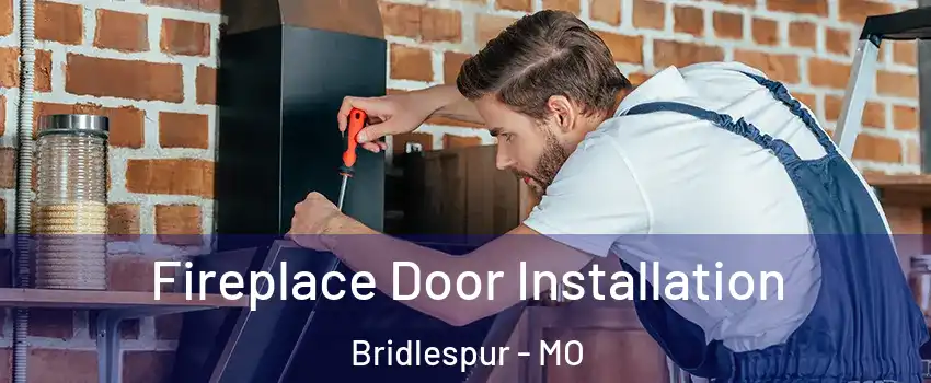 Fireplace Door Installation Bridlespur - MO