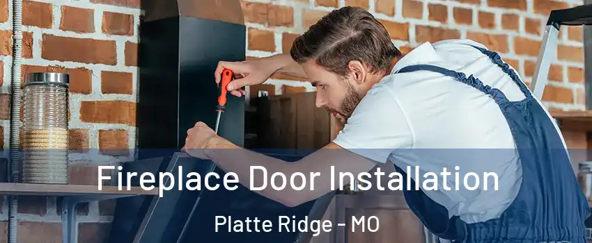 Fireplace Door Installation Platte Ridge - MO