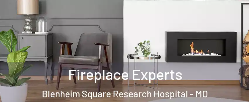 Fireplace Experts Blenheim Square Research Hospital - MO