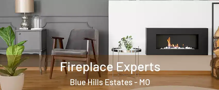 Fireplace Experts Blue Hills Estates - MO