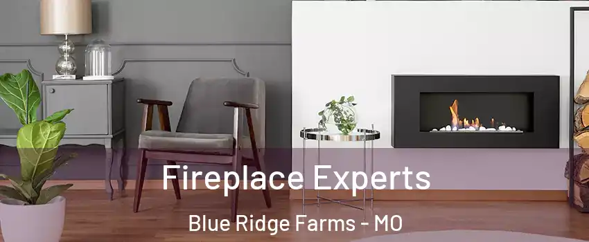 Fireplace Experts Blue Ridge Farms - MO