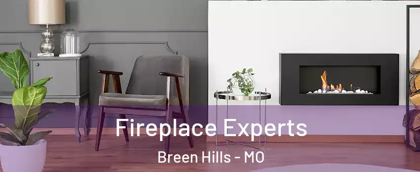 Fireplace Experts Breen Hills - MO