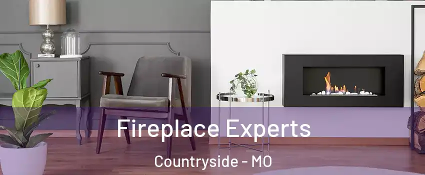 Fireplace Experts Countryside - MO