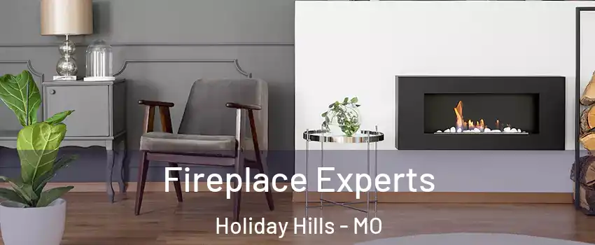 Fireplace Experts Holiday Hills - MO