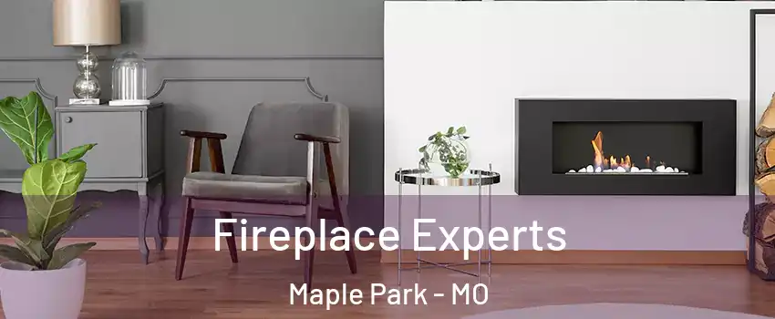 Fireplace Experts Maple Park - MO