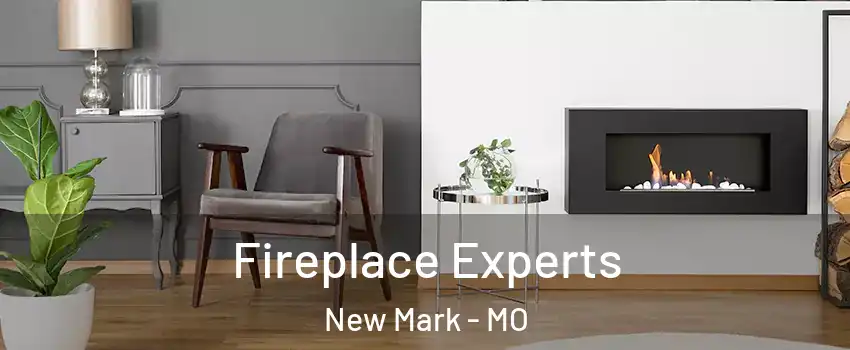 Fireplace Experts New Mark - MO