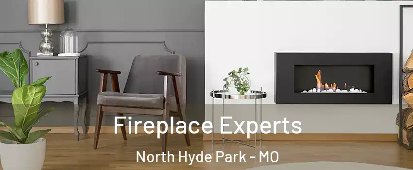 Fireplace Experts North Hyde Park - MO