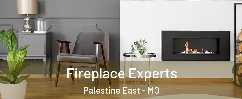 Fireplace Experts Palestine East - MO