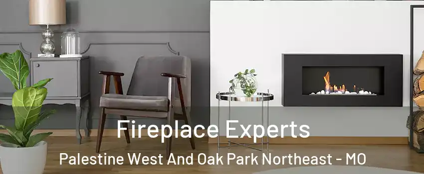 Fireplace Experts Palestine West And Oak Park Northeast - MO