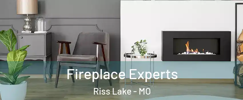 Fireplace Experts Riss Lake - MO