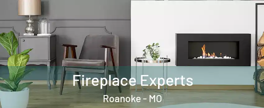 Fireplace Experts Roanoke - MO