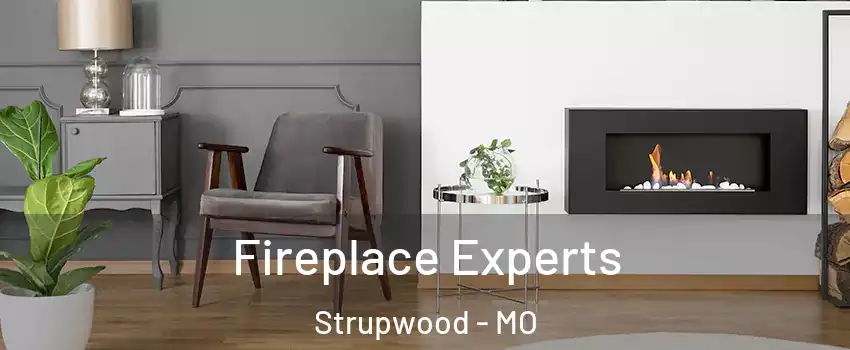 Fireplace Experts Strupwood - MO