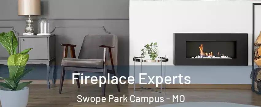 Fireplace Experts Swope Park Campus - MO