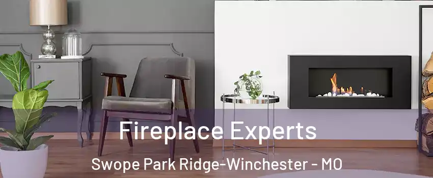 Fireplace Experts Swope Park Ridge-Winchester - MO