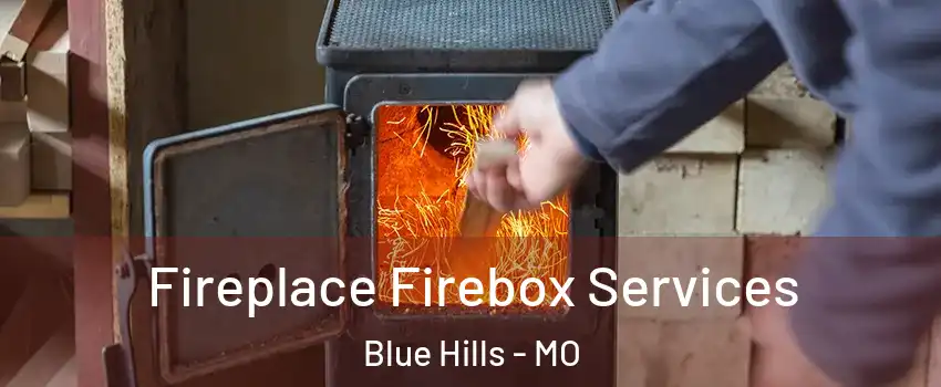 Fireplace Firebox Services Blue Hills - MO