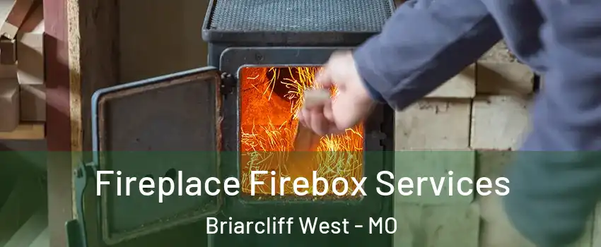 Fireplace Firebox Services Briarcliff West - MO