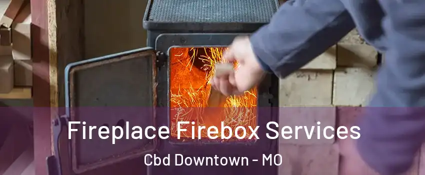 Fireplace Firebox Services Cbd Downtown - MO