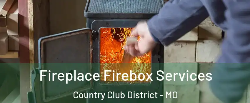 Fireplace Firebox Services Country Club District - MO