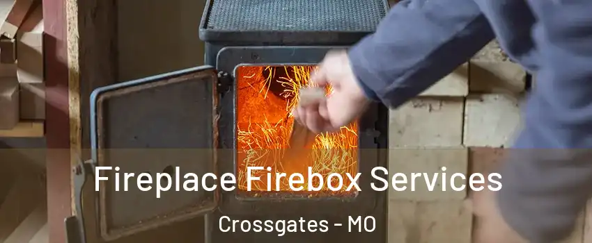 Fireplace Firebox Services Crossgates - MO