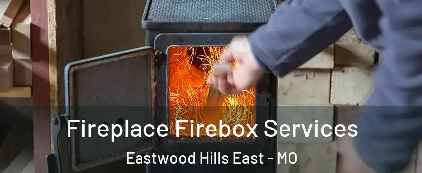 Fireplace Firebox Services Eastwood Hills East - MO