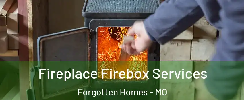 Fireplace Firebox Services Forgotten Homes - MO