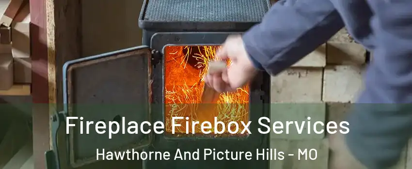 Fireplace Firebox Services Hawthorne And Picture Hills - MO