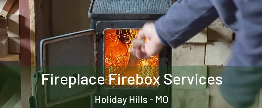 Fireplace Firebox Services Holiday Hills - MO