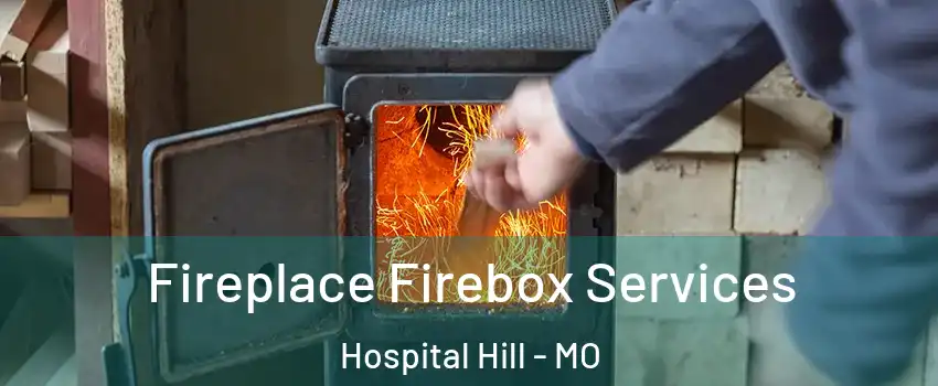 Fireplace Firebox Services Hospital Hill - MO