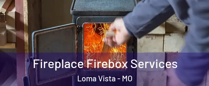 Fireplace Firebox Services Loma Vista - MO