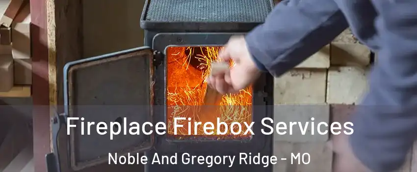 Fireplace Firebox Services Noble And Gregory Ridge - MO