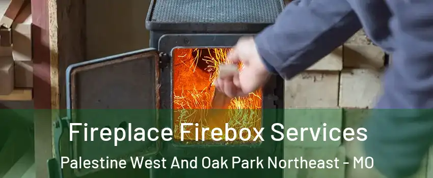 Fireplace Firebox Services Palestine West And Oak Park Northeast - MO