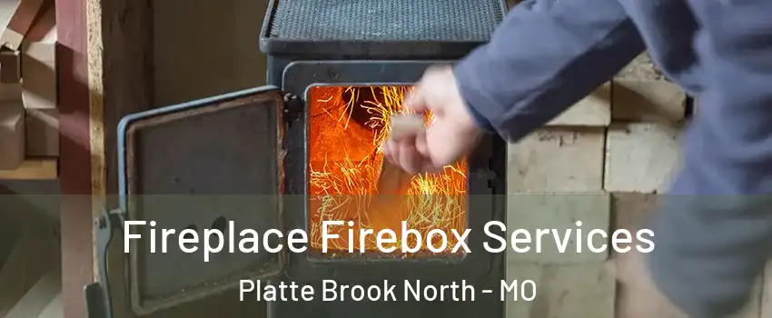 Fireplace Firebox Services Platte Brook North - MO