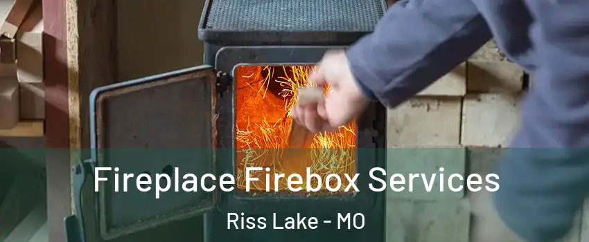 Fireplace Firebox Services Riss Lake - MO