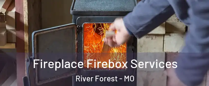 Fireplace Firebox Services River Forest - MO