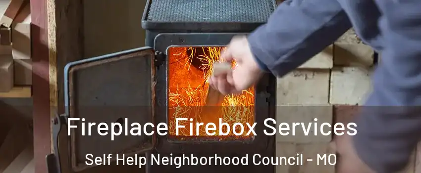 Fireplace Firebox Services Self Help Neighborhood Council - MO